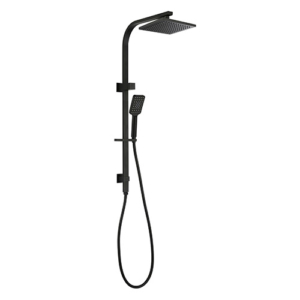 Eden Two Multifunction Shower