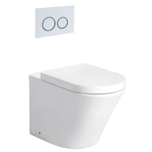 Cora Concealed Toilet