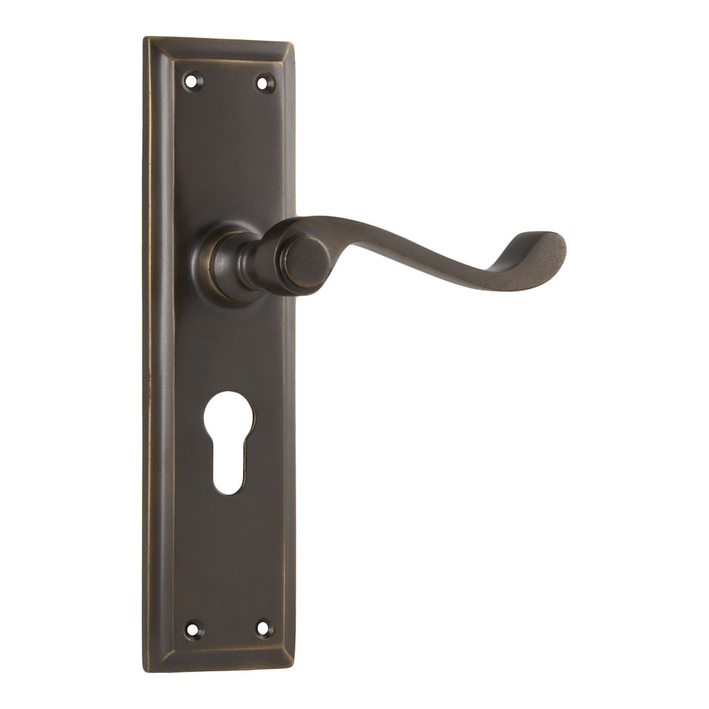 Tradco Milton Long Backplate Lever - Image 2