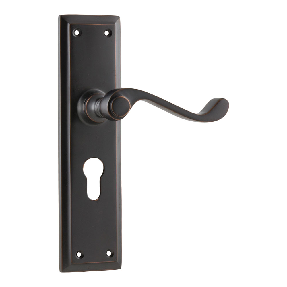 Tradco Milton Long Backplate Lever - Image 13