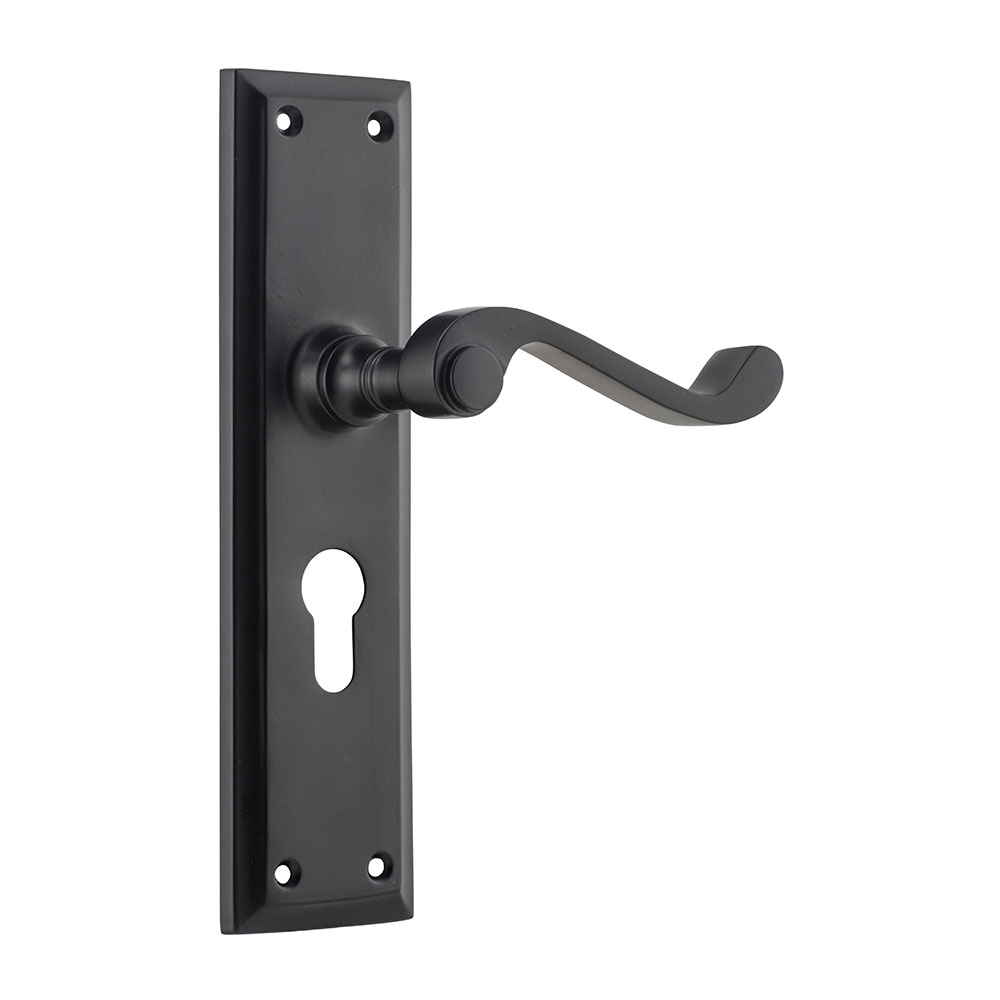 Tradco Milton Long Backplate Lever - Image 7
