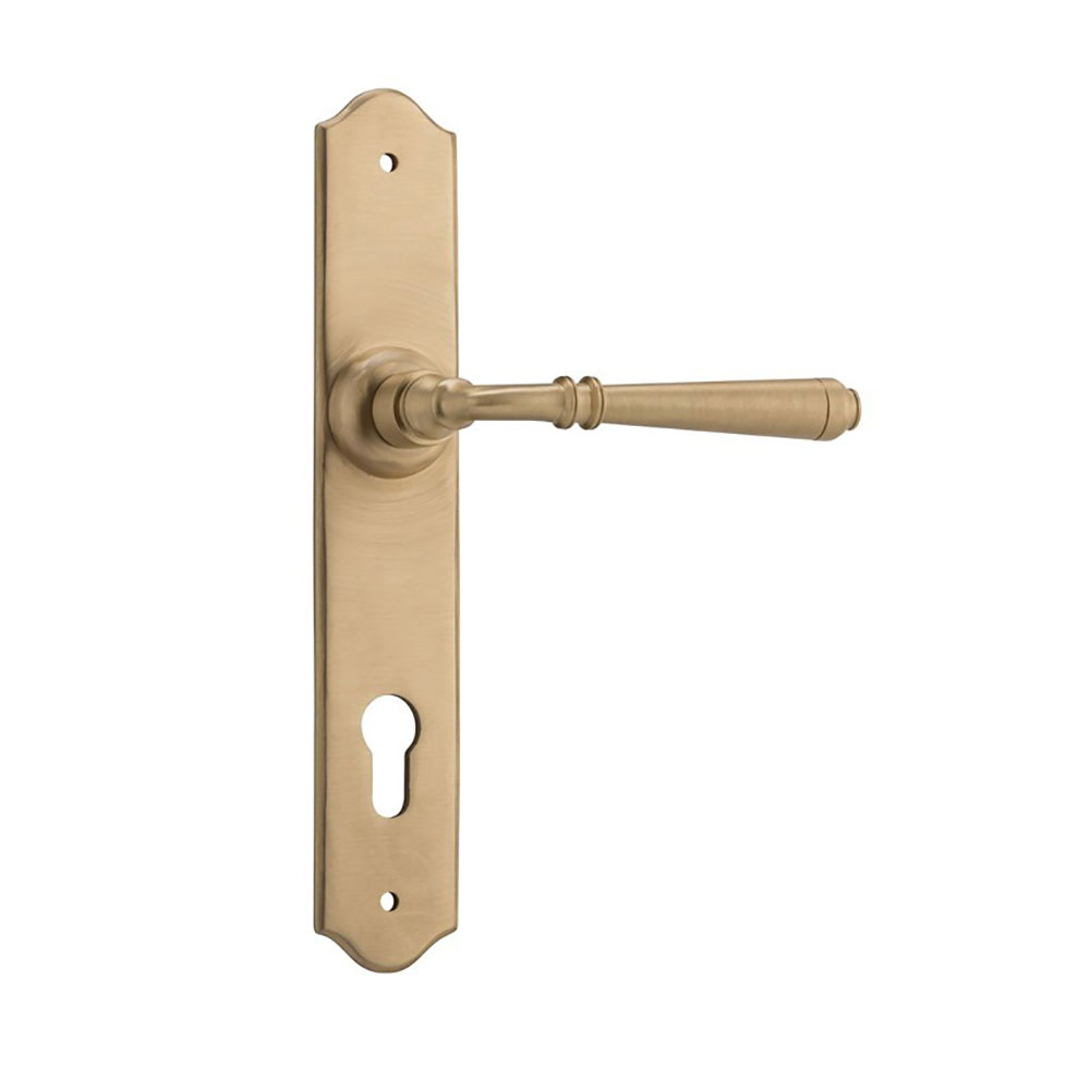 Tradco Reims Long Backplate Lever - Image 34