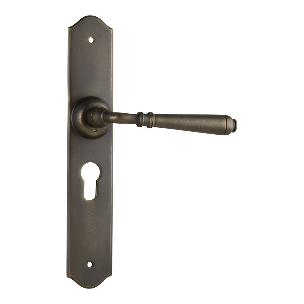 Tradco Reims Long Backplate Lever - Image 12