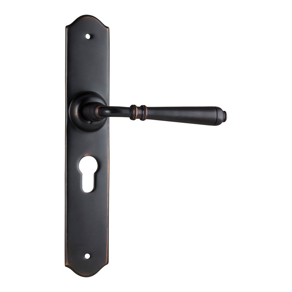 Tradco Reims Long Backplate Lever - Image 10