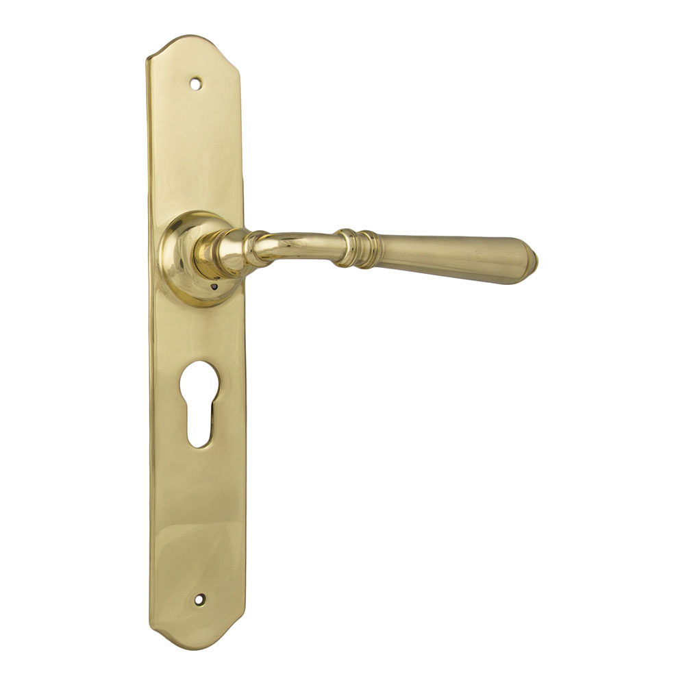 Tradco Reims Long Backplate Lever - Image 4