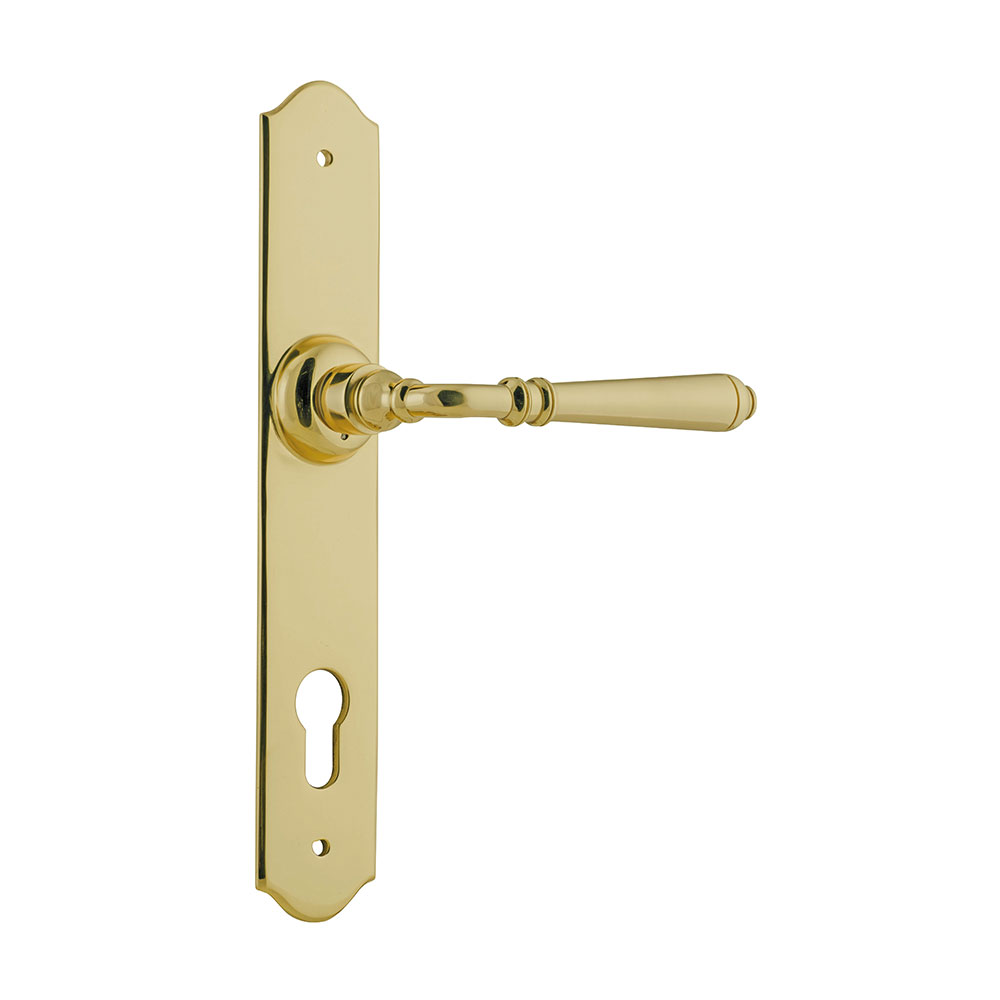 Tradco Reims Long Backplate Lever - Image 3