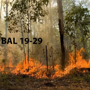 BAL 19 & BAL 29