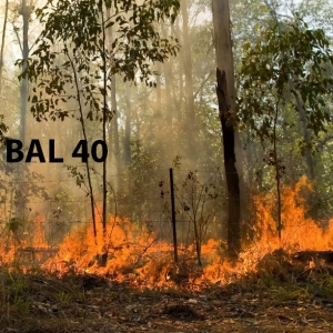 BAL 40